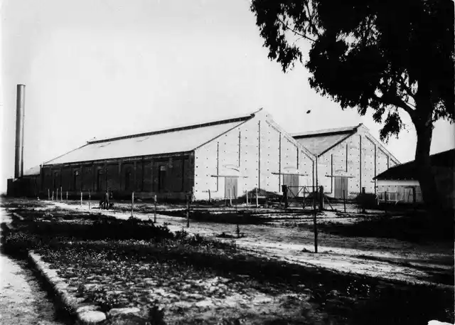 Saladero de Puerto Ruiz-1905