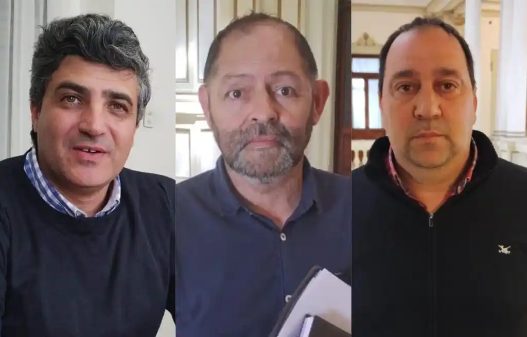Localidades: siguen Lamberti, Baldini y Bonavita, y hay nuevos elegidos