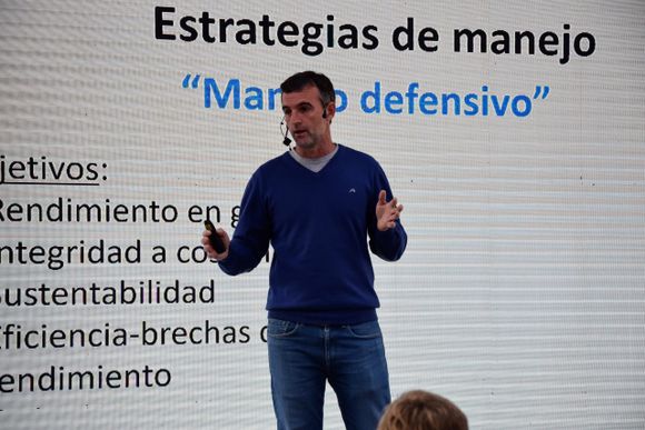 Hoy, más que nunca, hay que entender cómo funciona el maíz