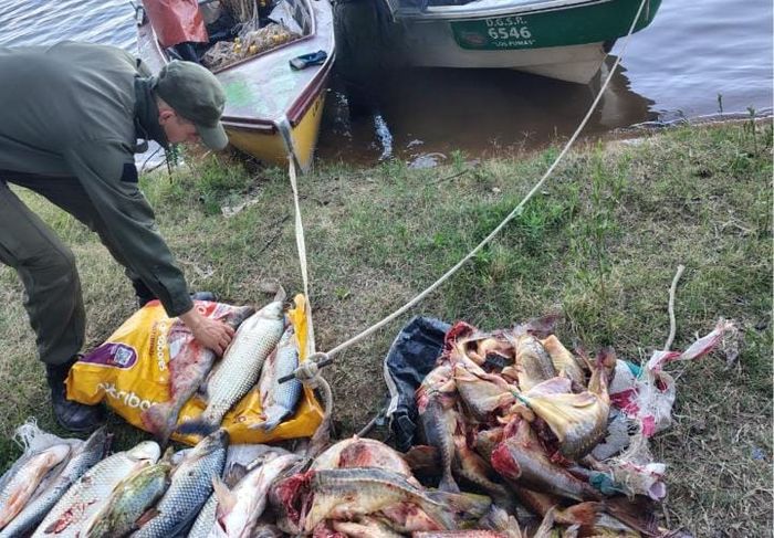 “Los Pumas” secuestraron armas, municiones, pescados y carne de dudosa procedencia en distintos operativos - 3