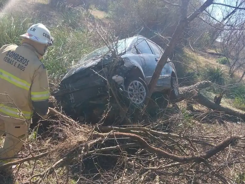 Una familia volcó en la Ruta 12 y terminó impactando contra un árbol