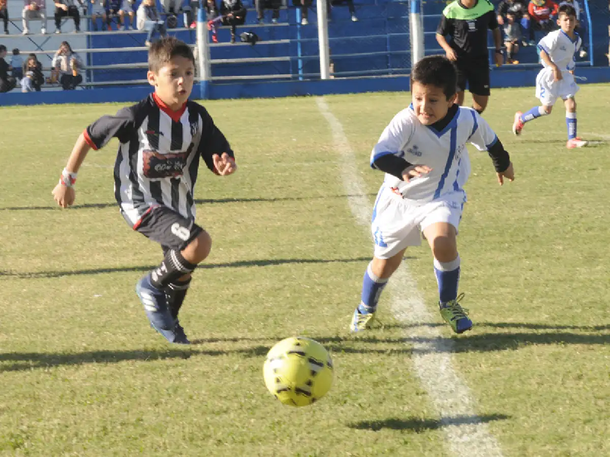El Apertura al día