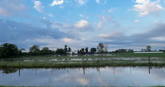 Temporal en la región: “El agua ingresó a las viviendas por los patios”
