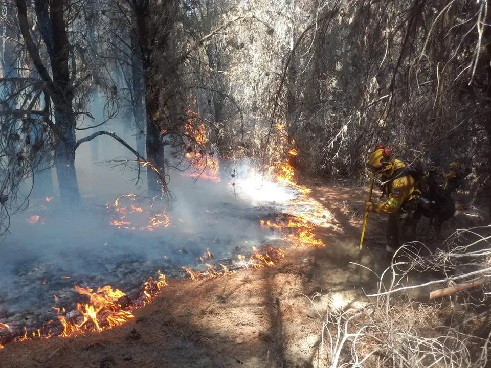 Los incendios en Chubut.