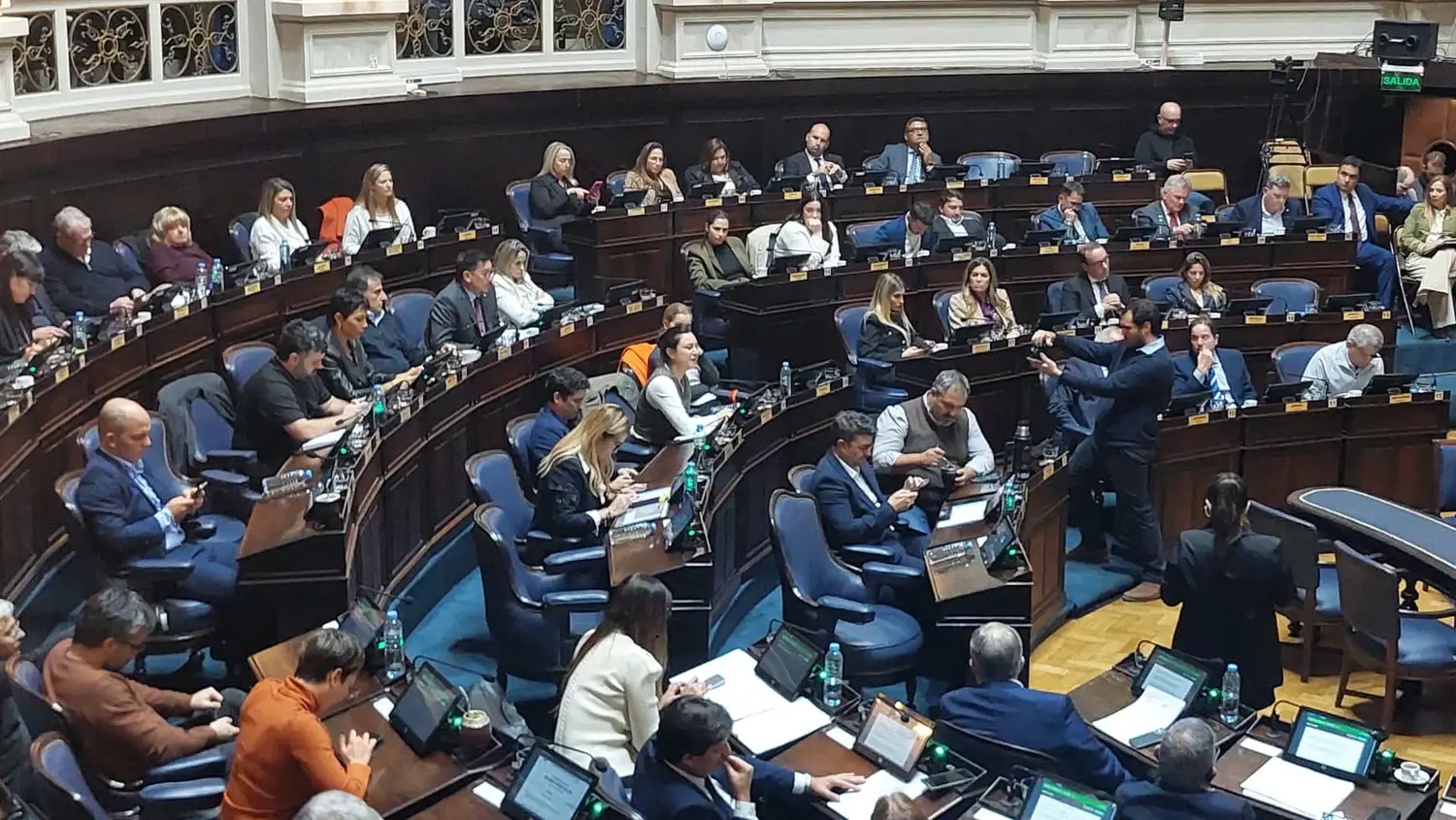 El oficialismo intentó tratar sobre tablas una iniciativa de Lucía Iañez luego de que La Libertad Avanza anticipara su apoyo durante la sesión.