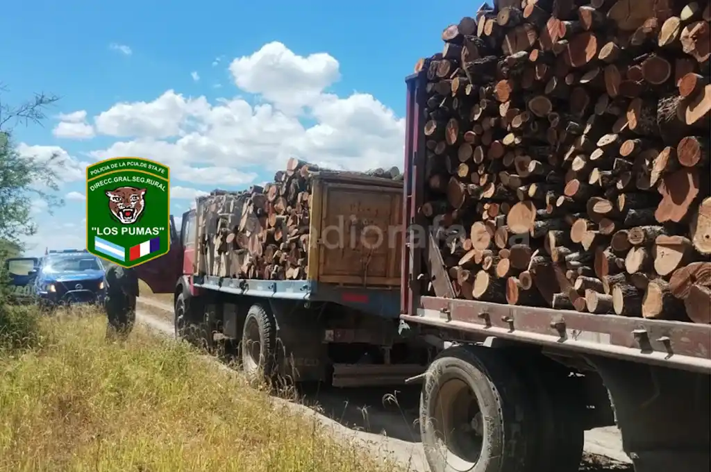 Detuvieron a un camión que transportaba 30.000 kilogramos de leña seca ilegalmente