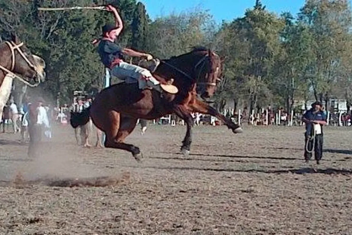 Un caballo en una doma saltó el alambrado y le pisó la cabeza a un nene: está grave