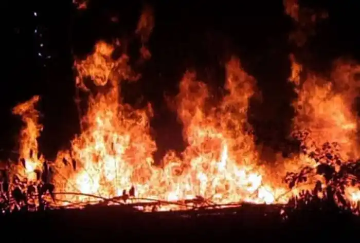 Bomberos de Villa del Rosario y Chajarí combatieron por más de seis horas un incendio forestal