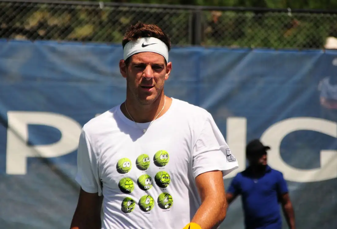 Del Potro cayó al puesto 8