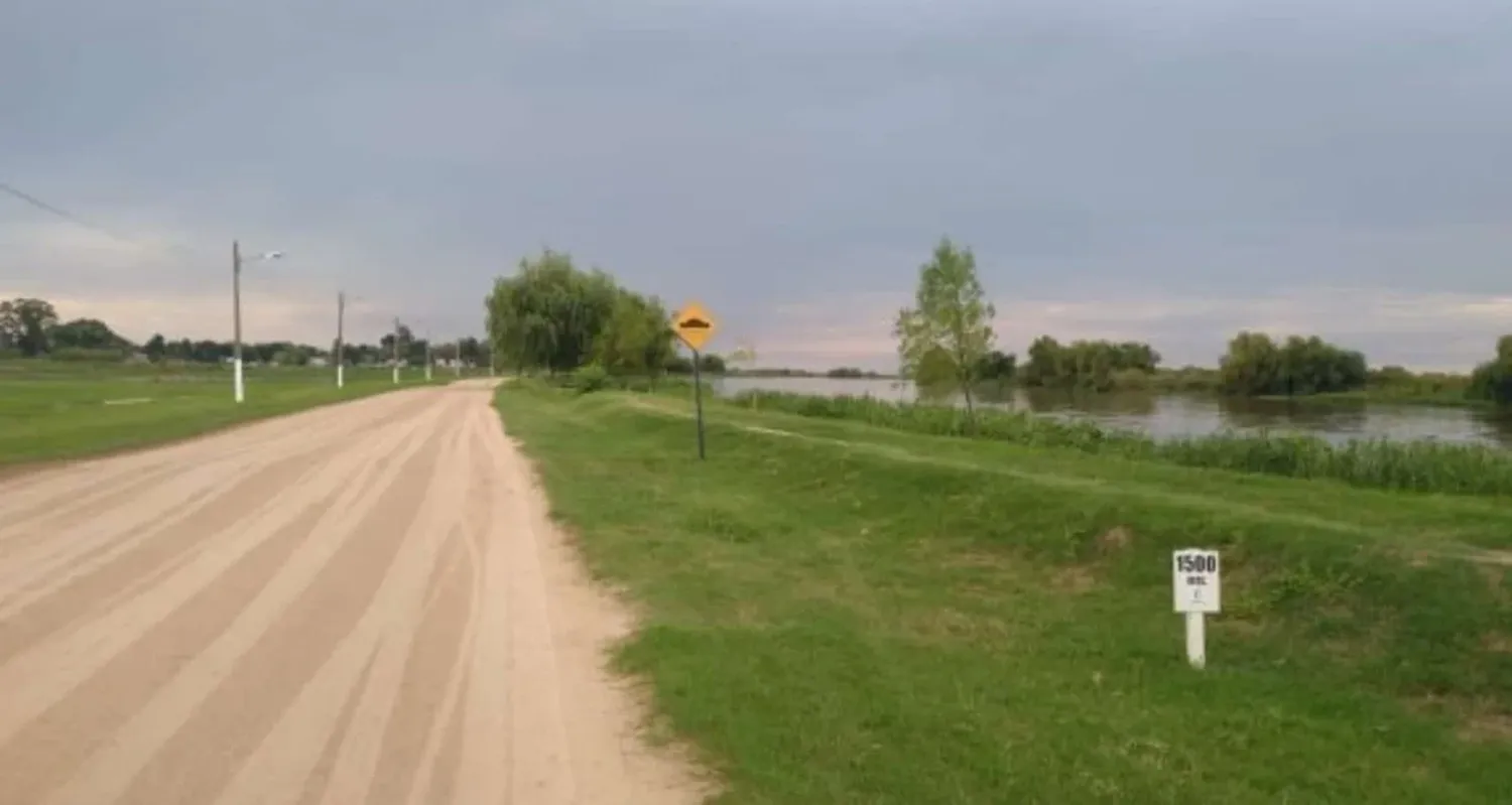 Coronda: escapando de la creciente, vacas nadan en un río que no para de crecer