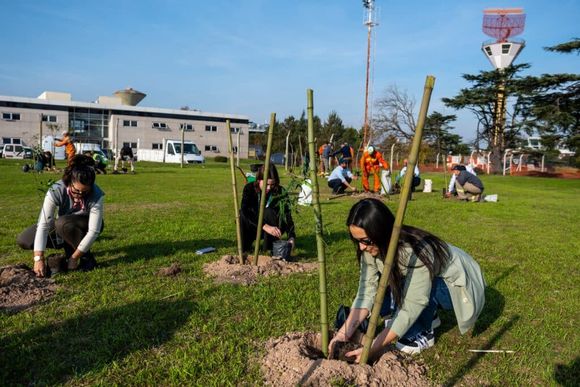 Sustentabilidad: se plantaron 50 árboles nativos en el Aeropuerto Internacional de Ezeiza