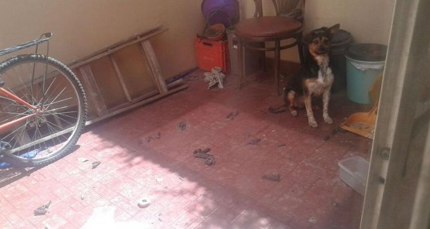 Docente abusador: del material secuestrado surgen sospechas de vínculos con red de pornografía infantil