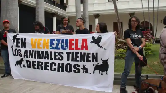 Ley sobre el trato digno a los animales incluye mecanismos de protección para los cuidadores