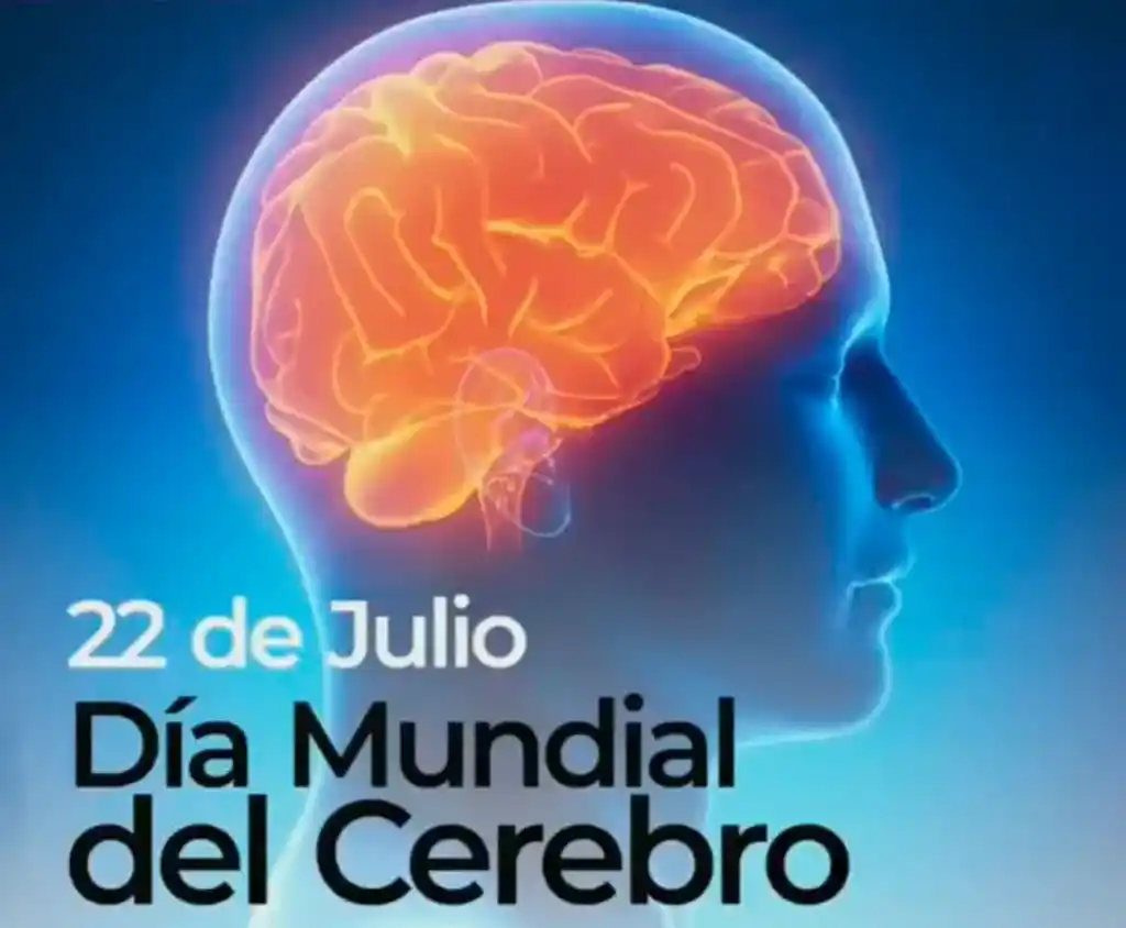 Cada 22 de julio, se conmemora el Día Mundial del Cerebro para promover la importancia de las actividades cognitivas