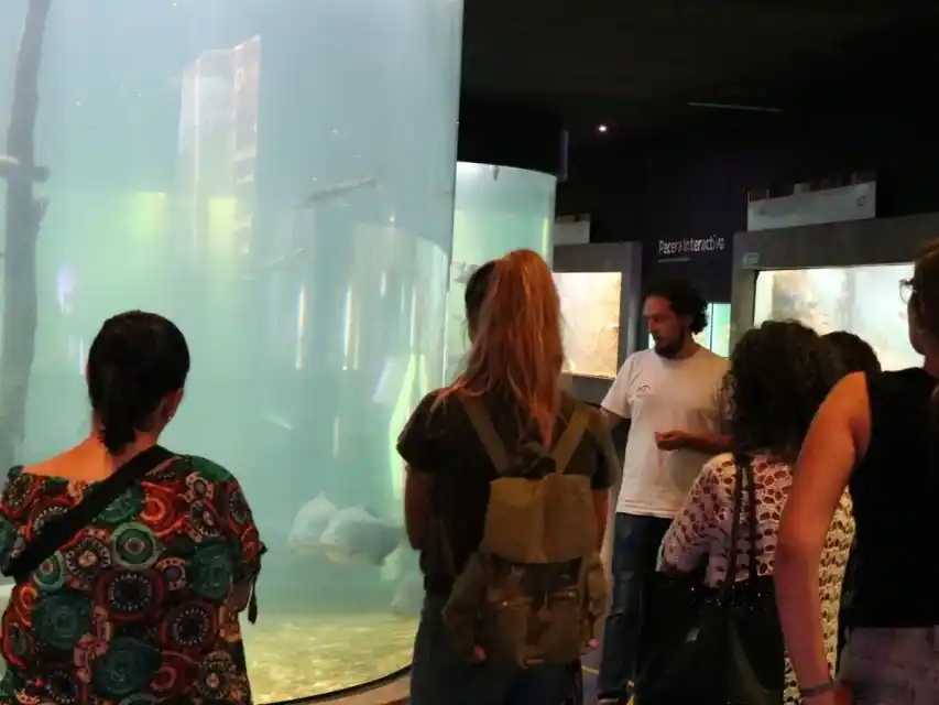 Desde su inauguración en 2018, el Acuario del Río Paraná se consolidó como un espacio innovador.