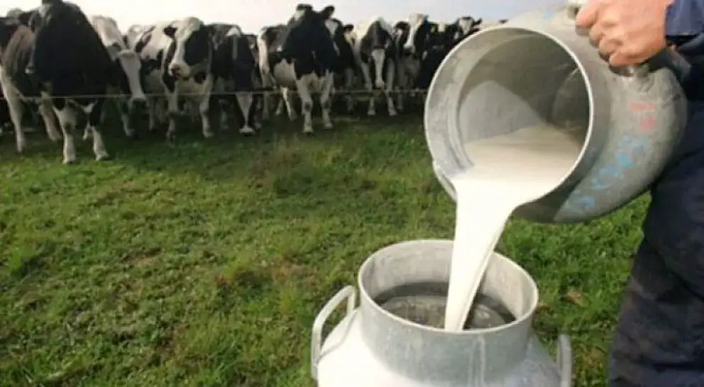 Lanzan créditos para el campo que se pueden pagar con leche y soja