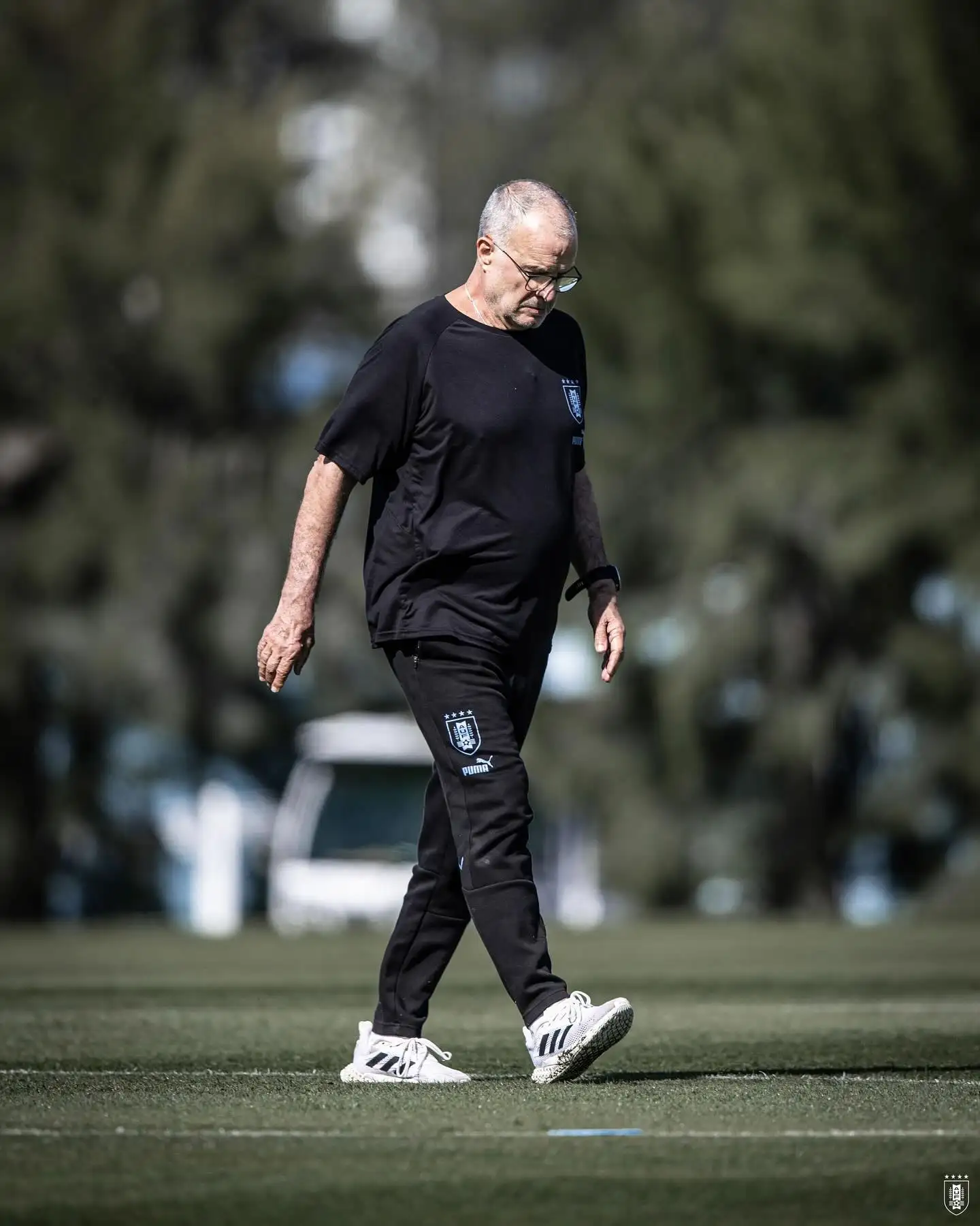 Bielsa piensa en Argentina.