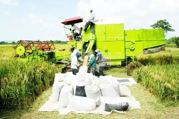 PREOCUPACI�N POR LAS LÍNEAS DE CAPACITACI�N AMBIENTAL PARA IMPLEMENTAR LA LEY 27.592 (LEY YOLANDA)