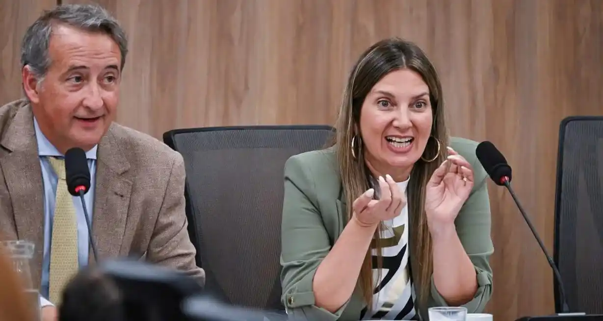 Nicolás Mayoraz y Silvia Lospennato celebraron el dictamen del nuevo proyecto de ley de Ficha Limpia. Foto: Juan Flogia / NA.