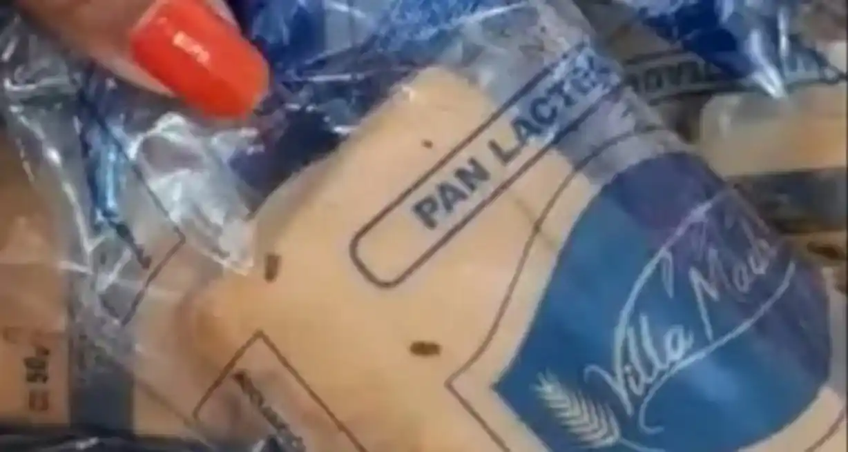 Servían panificados con insectos a los nenes de una escuela en Paraguay