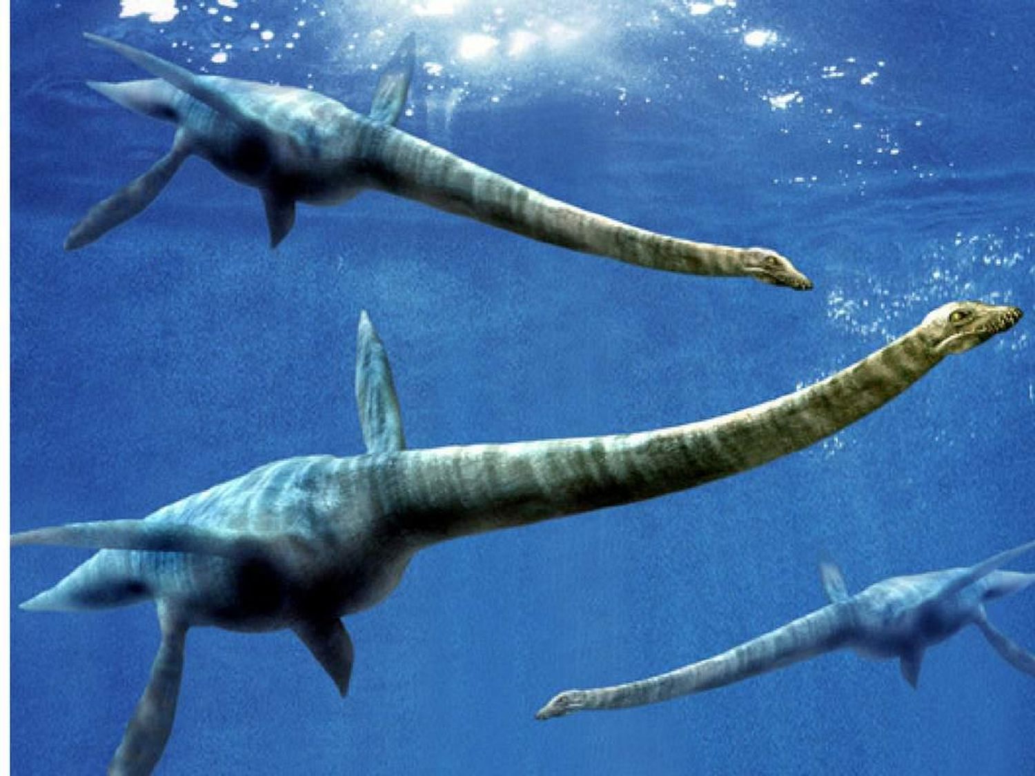 Hallaron en la Antártida restos fósiles de un  reptil carnívoro de 150 millones de años