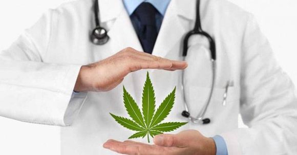 Tratan hoy en sesión de diputados el proyecto provincial de cannabis medicinal
