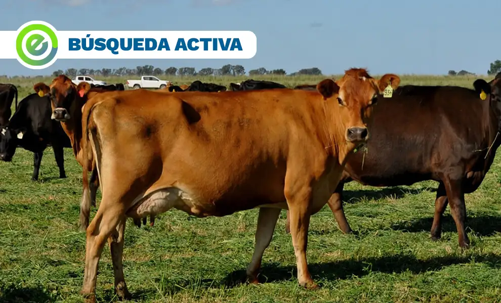 Se busca matrimonio para trabajar en un campo de Tandil