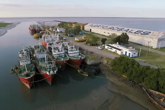El Gobierno creará un consorcio para gestionar el Puerto de Coronel Rosales