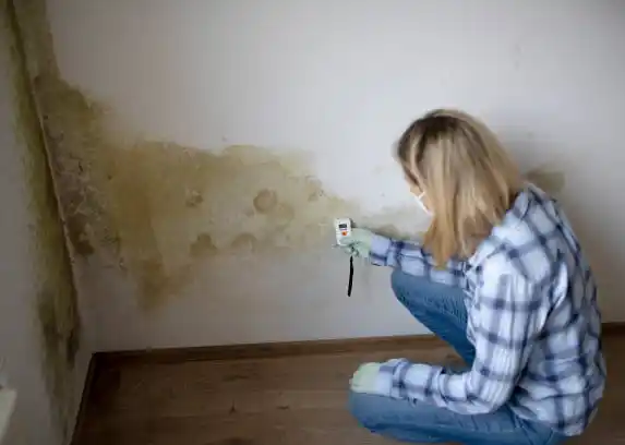 Elimina el moho y la humedad de las paredes con este REMEDIO CASERO