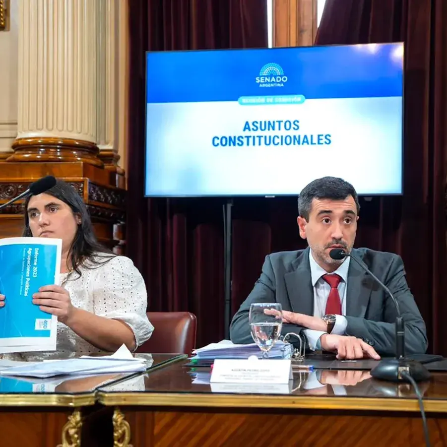 El Senado busca dictamen para debatir la Ley Hojarasca