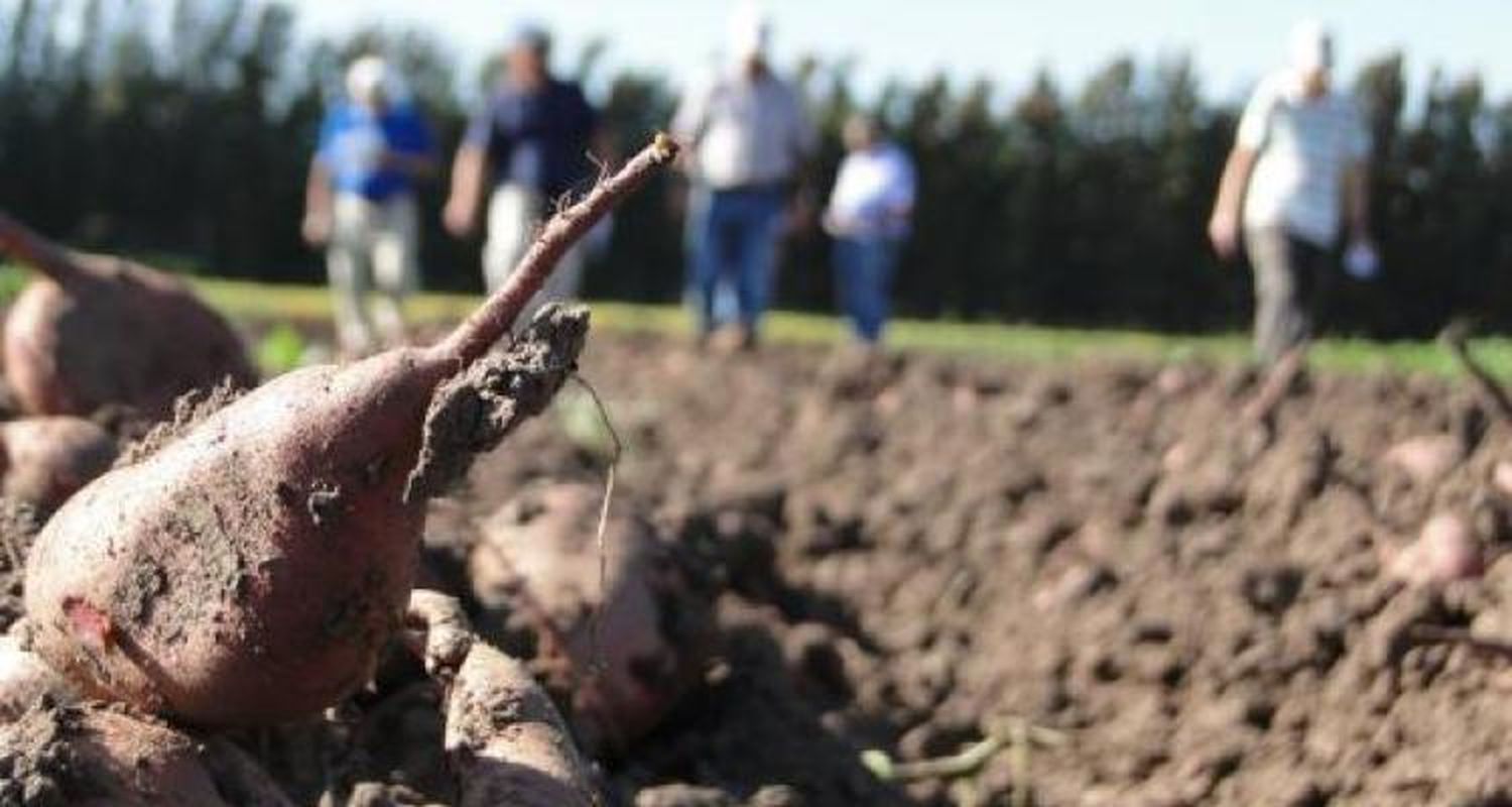 Emergencia agropecuaria  a raíz de la sequía