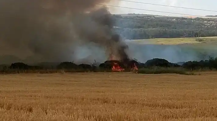 Mar del Plata: Incendio arrasó con más de 90 hectáreas en El Boquerón