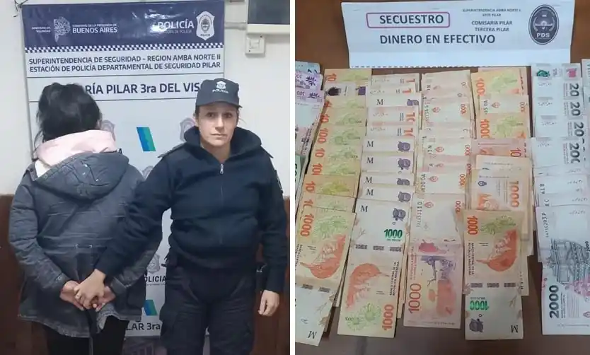 Detienen a una mujer vinculada al robo de un comercio