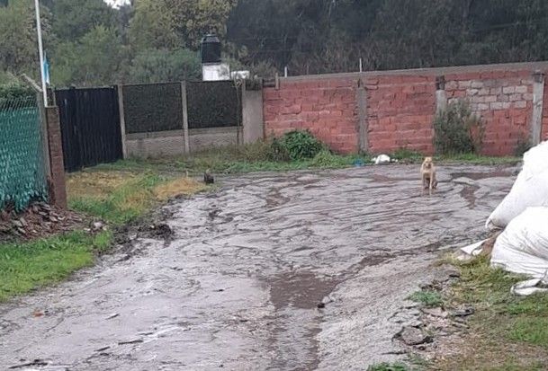 El estado de las calles es otro de los problemas prioritarios del barrio.