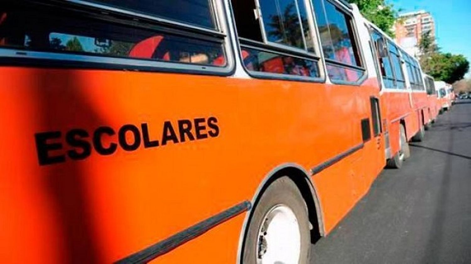 En julio llamarían a licitación para el transporte rural escolar