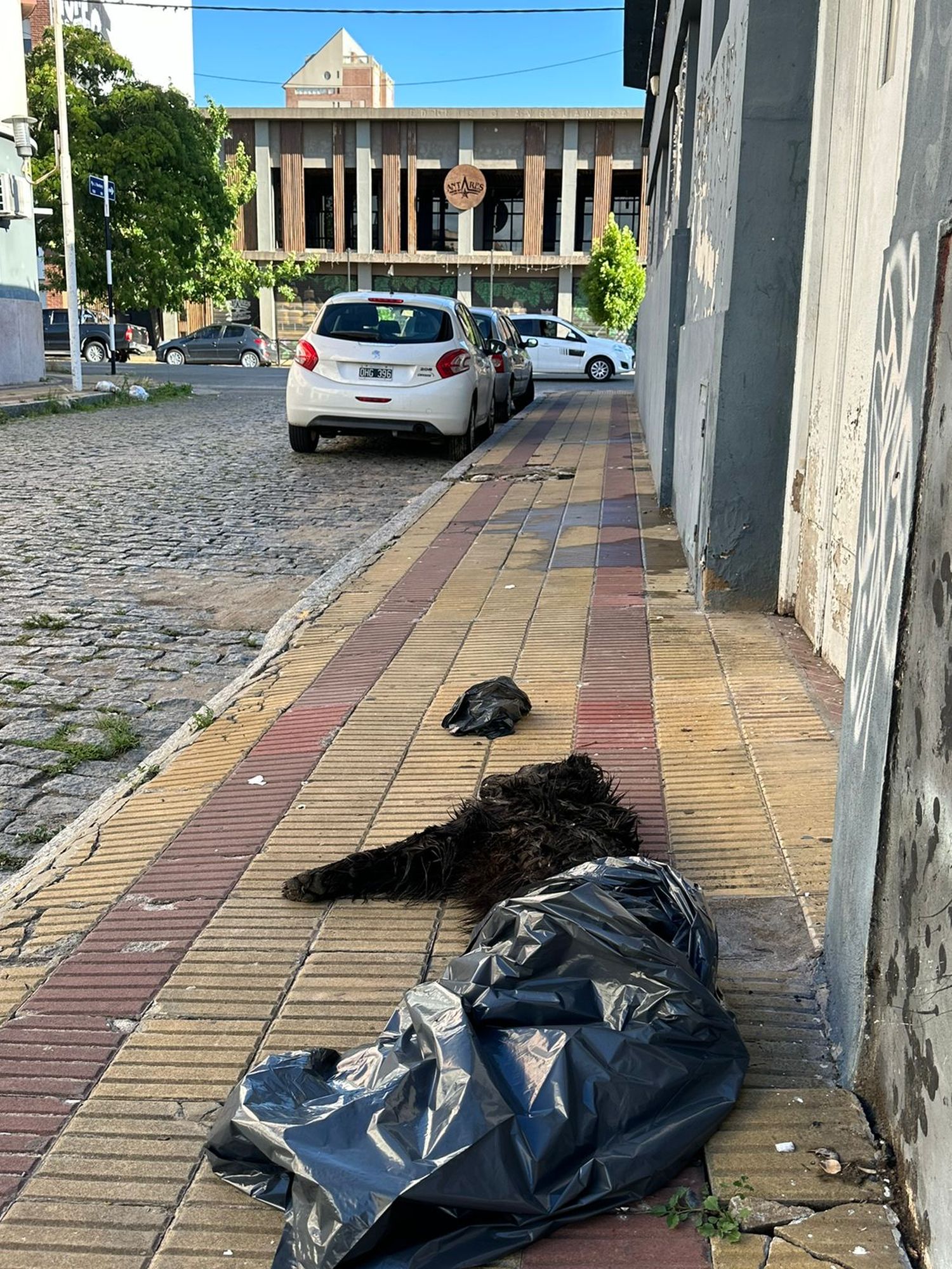 El domingo por la tarde, el pasaje Newbery entregaba una lamentable postal de los desmanes ocurridos durante la madrugada.