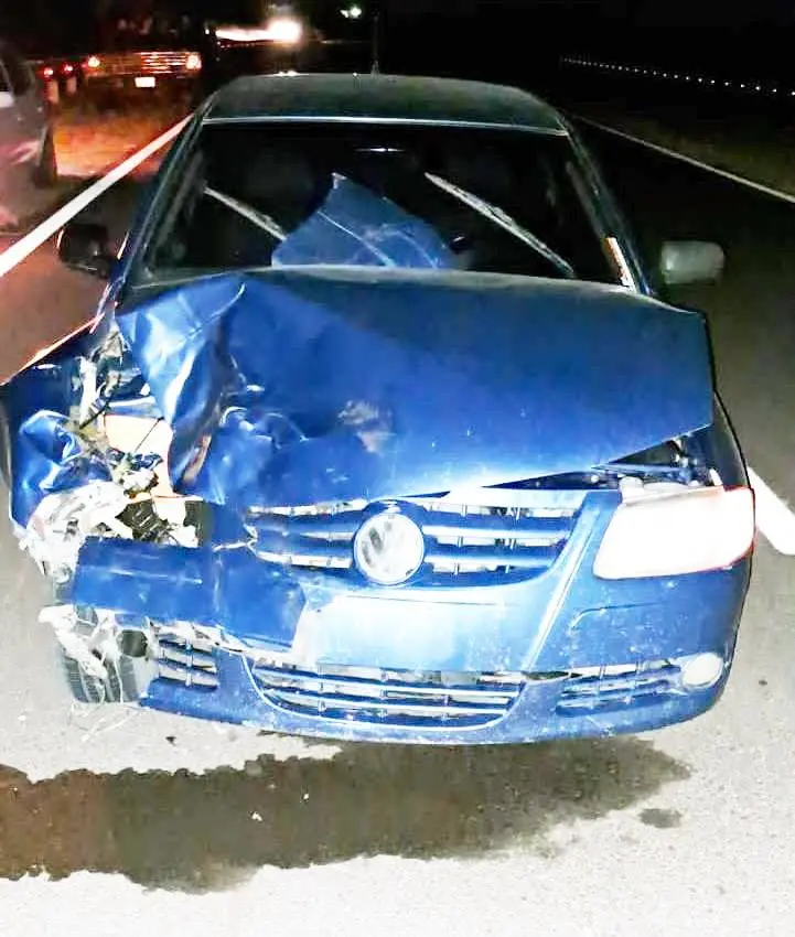 Un conductor chocó su automóvil contra un vacuno