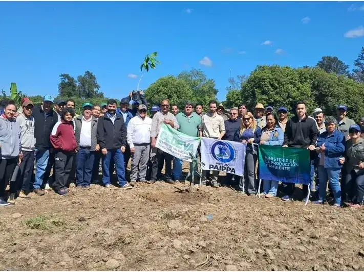 Pequeños productores se capacitan en la implantación del cultivo de mango
