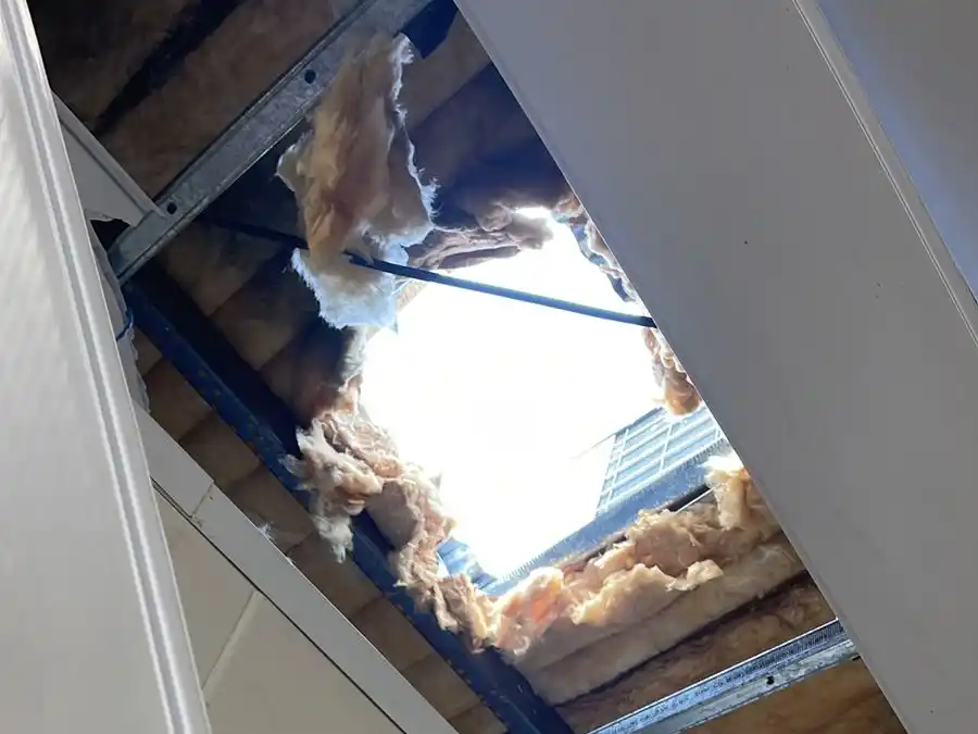 Robo Mayorista Cárnico 15-9-25 - 2