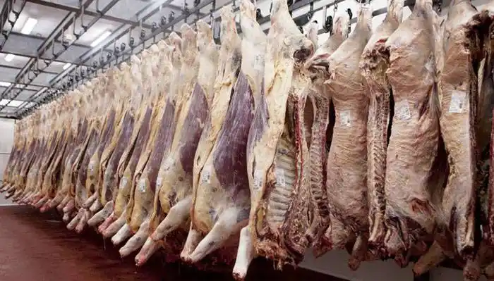 Los Matarifes salieron a explicar el por qué de los aumentos en la carne