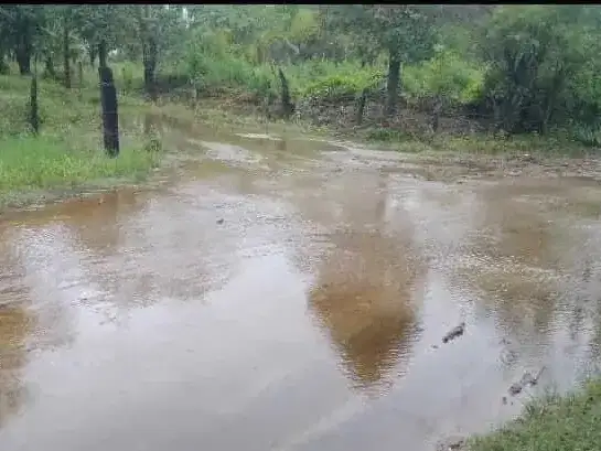 Miles de tucumanos padecen los efectos de las inundaciones.