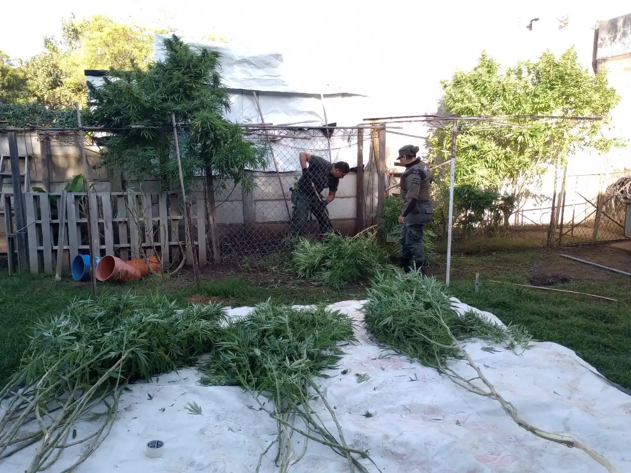 Leandro Sebastián M. como autor de varios delitos vinculados a la producción y comercialización de estupefacientes. Foto: Gentileza.