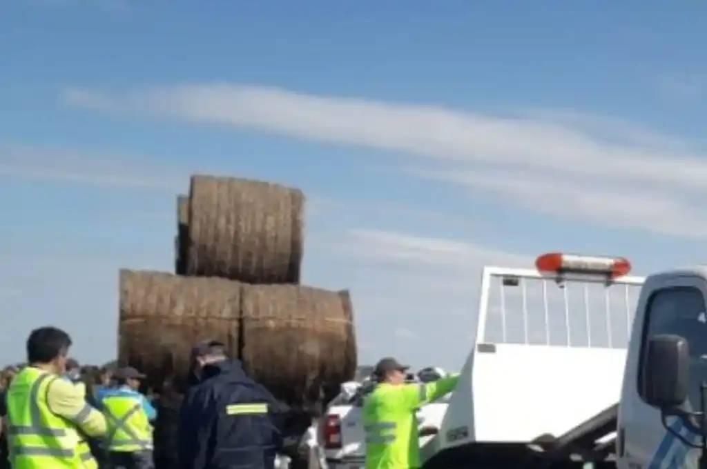 Bomberos, personal de la policía y de salud trabajaron en el lugar.