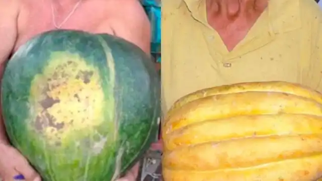 Un zapallito de 23 kilos y un melón de 7 sorprendieron a Entre Ríos