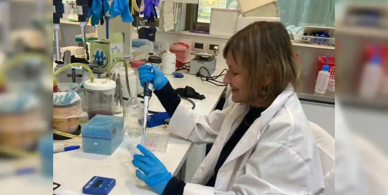 Claudia Banchio, jefa de grupo en el Instituto de Biología Molecular y Celular de Rosario.