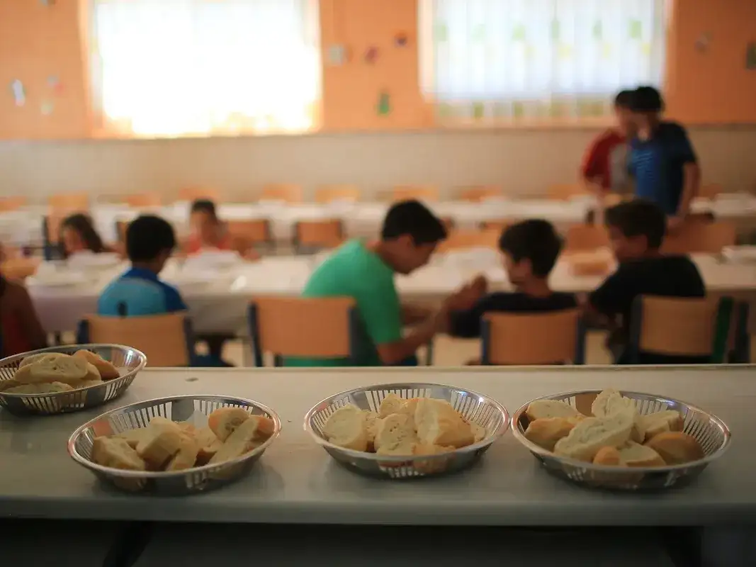 Cocinera de una escuela entrerriana deberá devolver más de $10 millones por faltas injustificadas