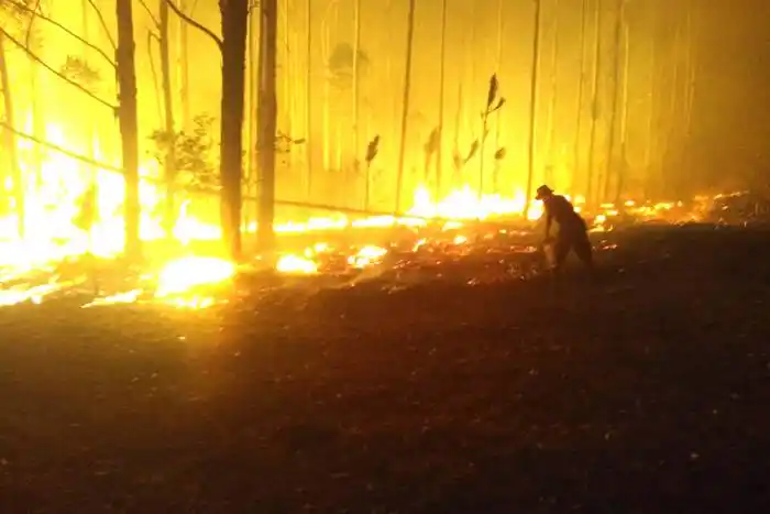 Tres provincias continúan  con registros de incendios  forestales activos