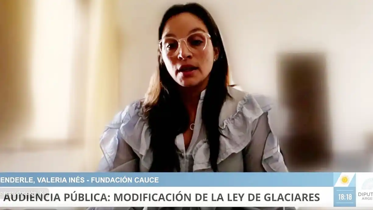 Fundación CAUCE participó de la audiencia pública por la Ley de Glaciares y advirtió sobre retrocesos ambientales