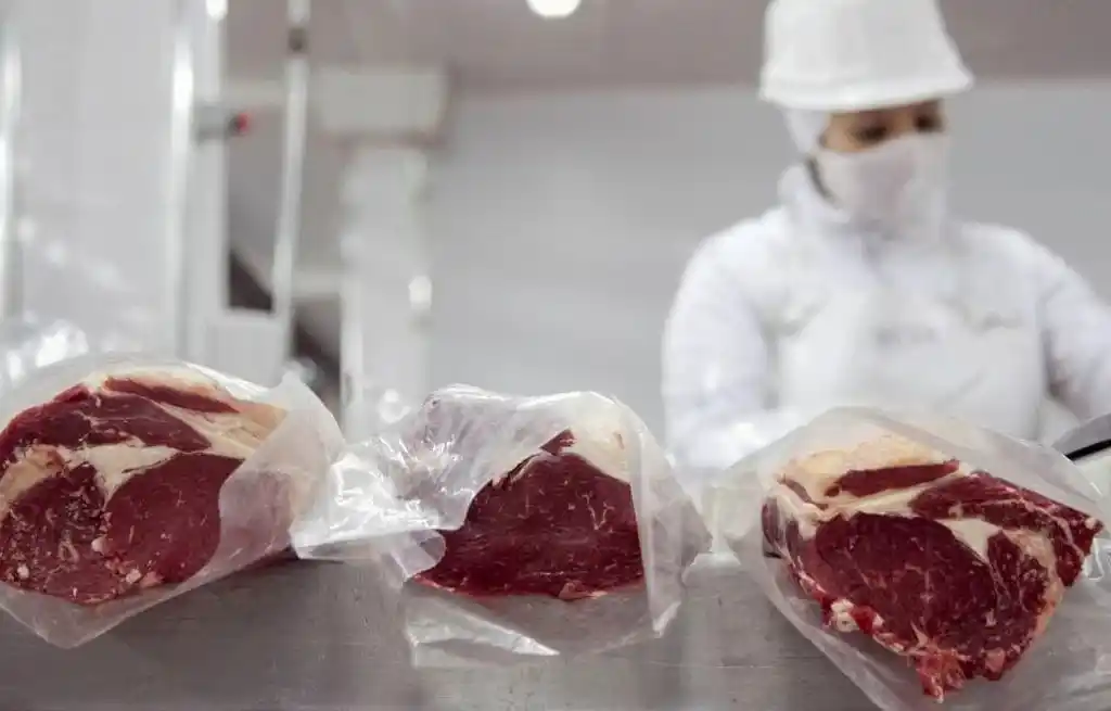 Un acuerdo de libre comercio con el EFTA puede potenciar aún más las exportaciones argentinas al mundo.