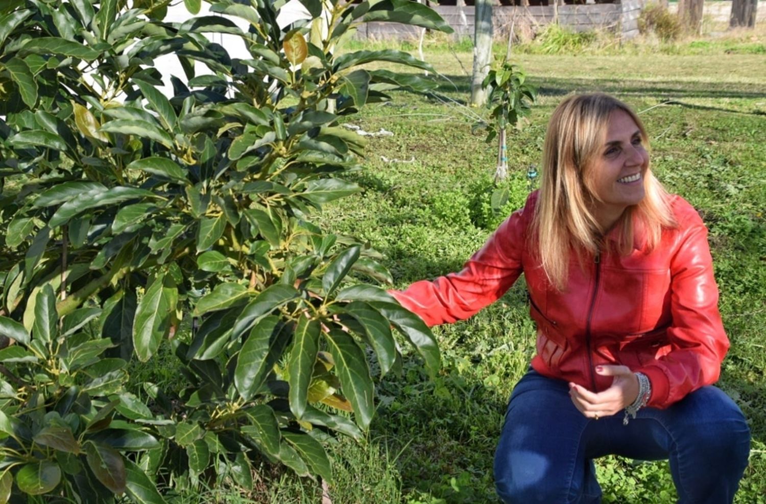 Sánchez Herrero: “Batán está impulsando la innovación en la producción de paltas”
